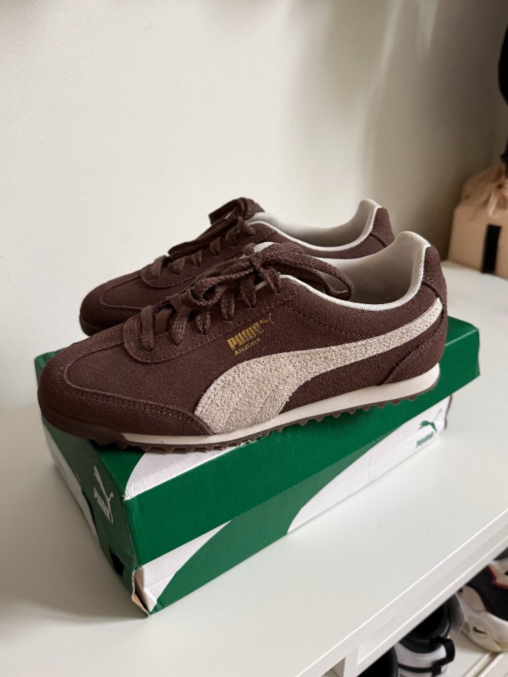 Puma Arizona SD Sneakers Flat Bronze / Alpine Snow / Puma Gold - Women's US 6.5